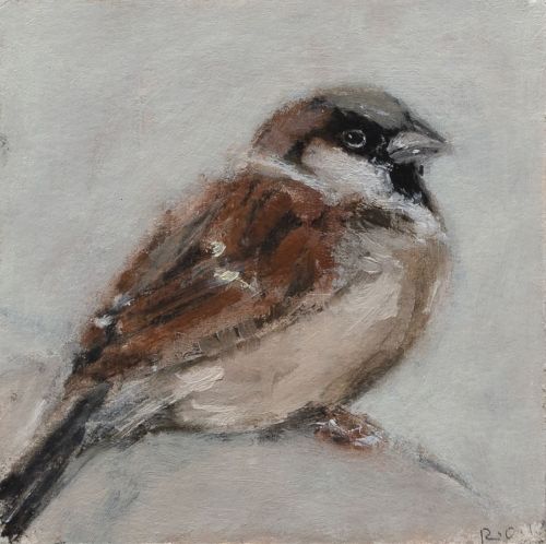 sparrow iii by ruth o'dell