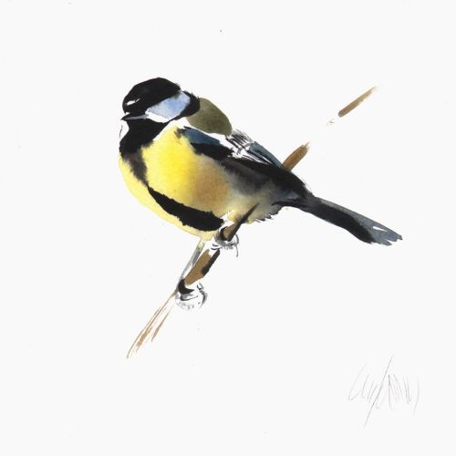 great tit by lucy newton