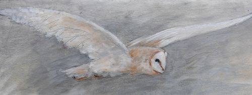 flight by joyce gunn cairns