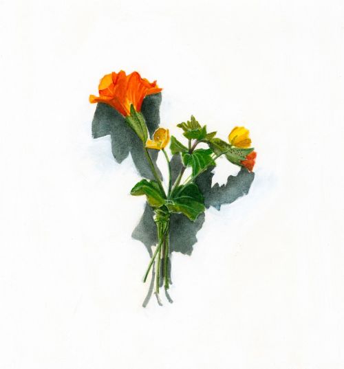 votive offering no.40, monkey flower by kirsty lorenz