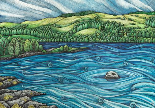 swimming seal by jennifer guest