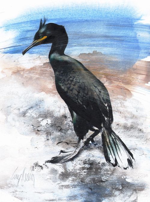 shag by lucy newton