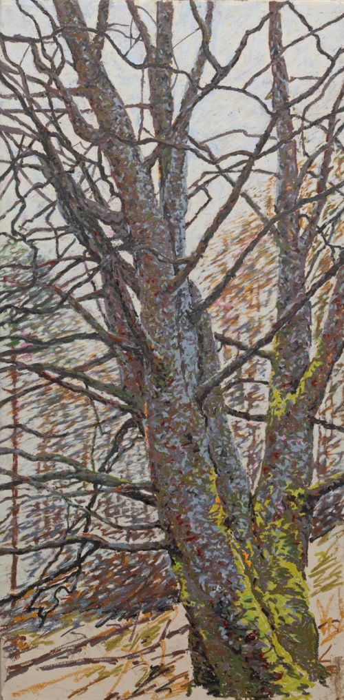mother rowan, alladale by kevin dagg