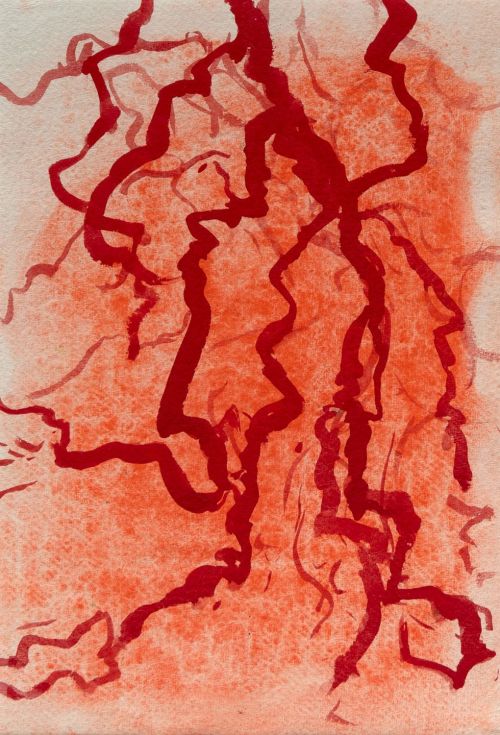 the trees turned red II by anna raven