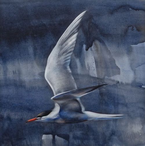 fast flight, dark sea by lucy newton