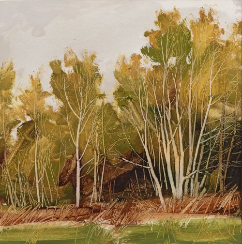 field edge, birches by anna king