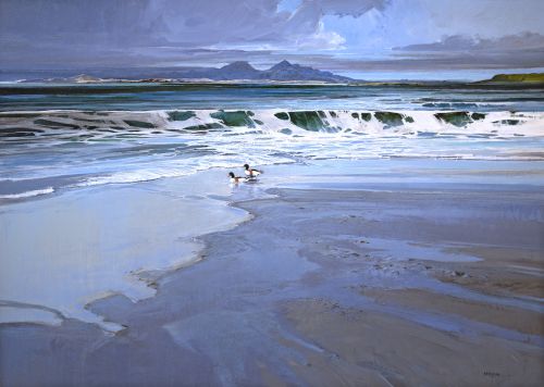 shelducks, portuairk by Alan B Hayman