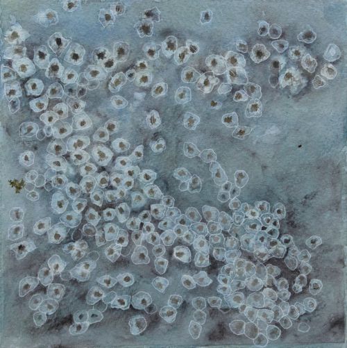 littoral community I by jane rushton