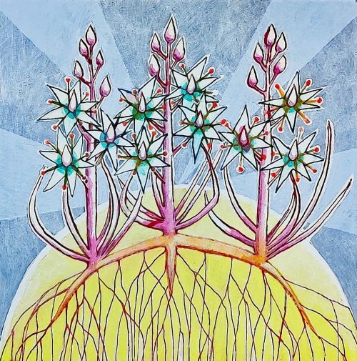 narthecium ossifragum, ardnamurchan (bog asphodel) by kirsty lorenz