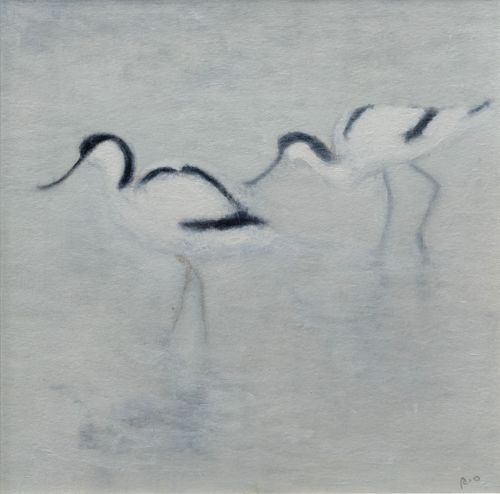 avocets, deepdale by ruth o dell