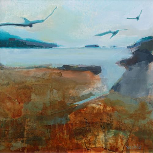 soar by morag young
