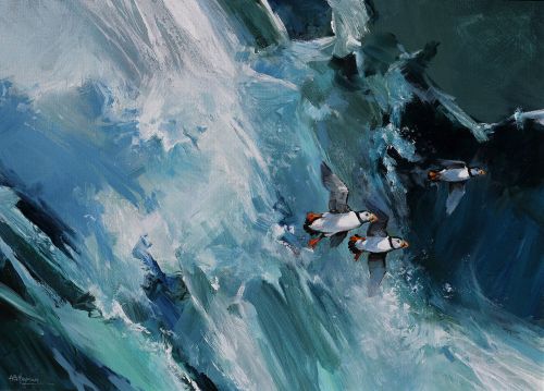 puffins by alan b hayman