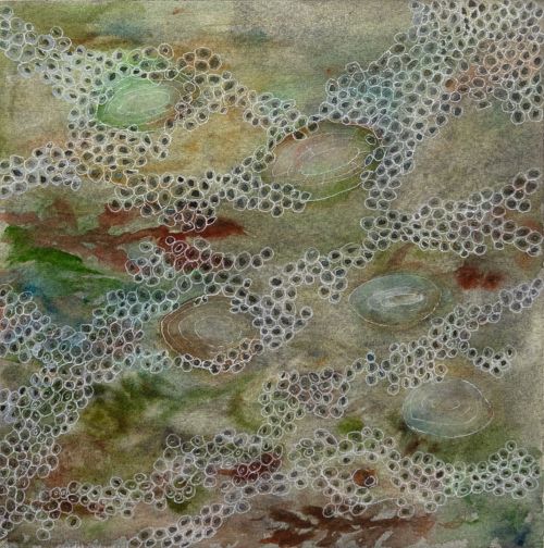 littoral community II by jane rushton