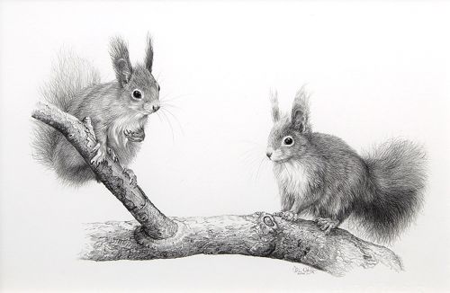squirrels - meeting by colin woolf