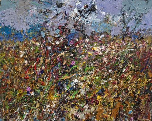 wild flower hedgerow by jonathan shearer