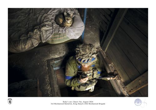 Rudy’s cat; Chasiv Yar, August 2024 by ivan petrychak