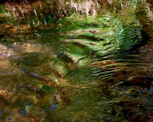 summer reflections by nigel mcmillan