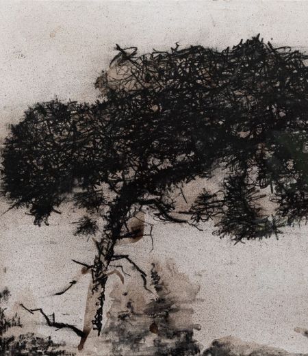 sentinel pine, bridlebank by kevin dagg