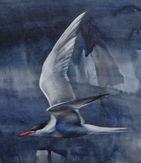 fast flight, dark sea by lucy newton