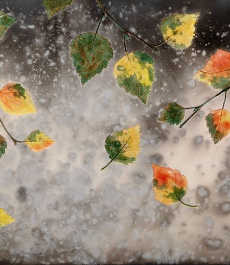two falling leaves by helen michie