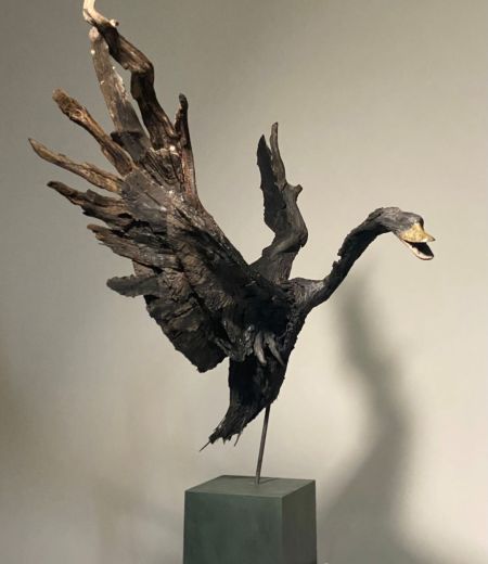 black swan by lucy gray