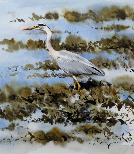 grey heron, arisaig by lucy newton