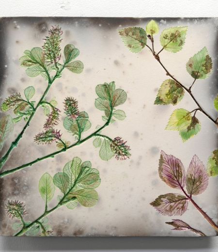 spring willow by helen michie