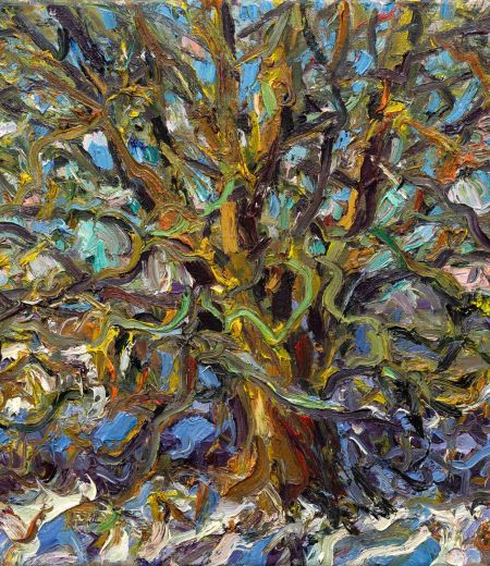 morning sun on winter willow by jonathan shearer