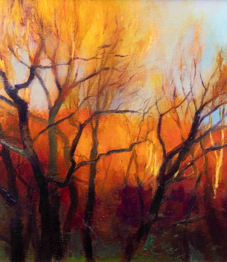 winter evening trees by andrew sinclair