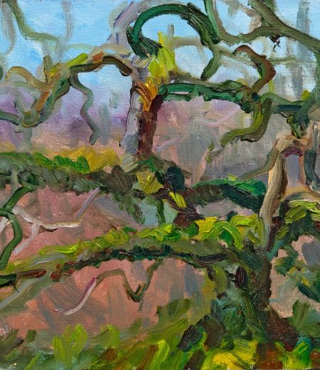 ancient oak, achilty by jonathan shearer