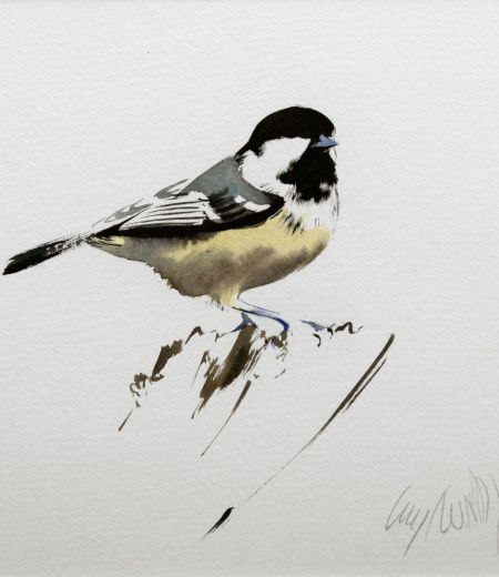 coal tit by lucy newton
