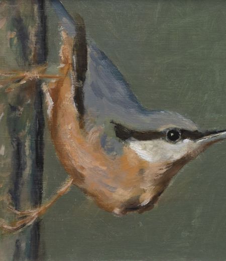 nuthatch by ruth o'dell