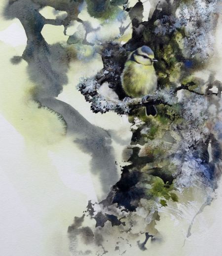 fledgling blue tit, ancient woodland by lucy newton