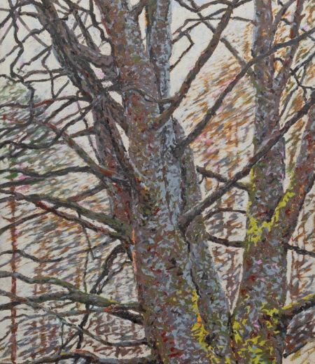 mother rowan, alladale by kevin dagg