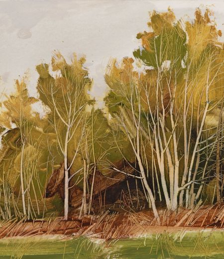 field edge, birches by anna king