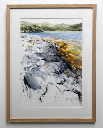 tern over loch sunart by lucy newton