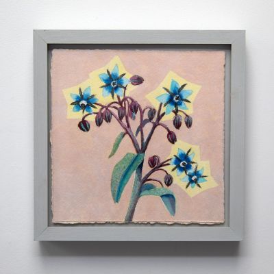 borage for courage by kirsty lorenz