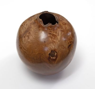 burr elm vessel ii by angus clyne