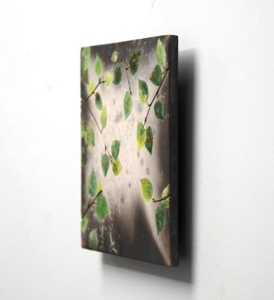 summer birch leaves II by helen michie