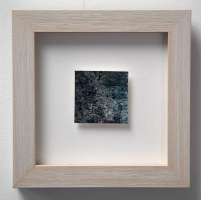 tephromela I by jane rushton