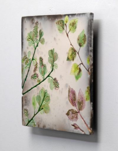 spring willow by helen michie