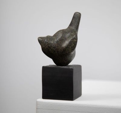 questioning by siobhan morison