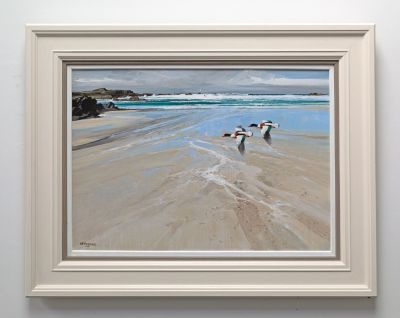 sanna sheldrakes by Alan B Hayman