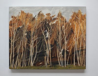 clearing, duns wood III by anna king