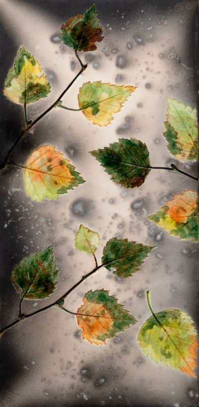 falling autumn leaves II by helen michie