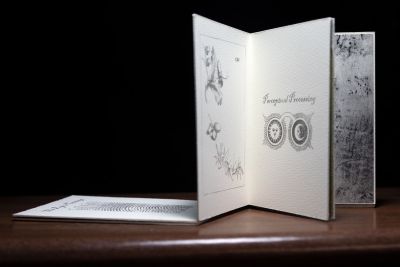 the eye in the window hole by anna bussot