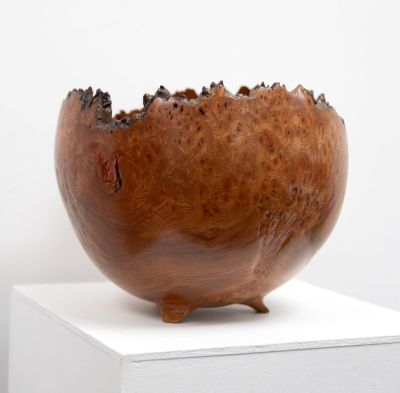 burr elm bowl ii by angus clyne