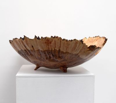 burr elm bowl iv by angus clyne