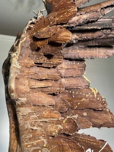 landscape by lucy gray