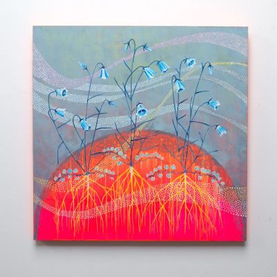 campanula rotundifolia, ardnamurchan by kirsty lorenz